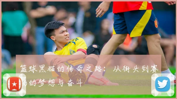 篮球黑猫的传奇之路：从街头到赛场的梦想与奋斗