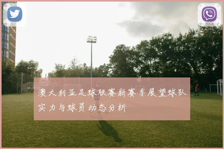 澳大利亚足球联赛新赛季展望球队实力与球员动态分析