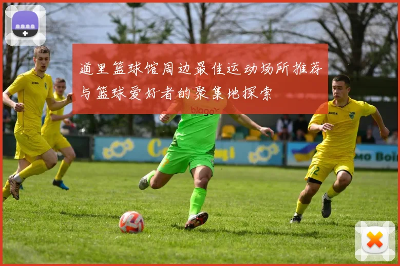 道里篮球馆周边最佳运动场所推荐与篮球爱好者的聚集地探索