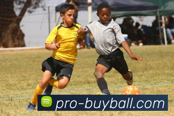 买球推荐发展历程